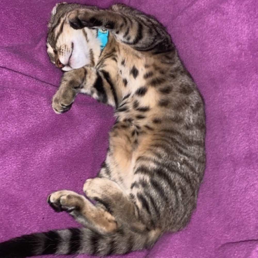 Meet your Posher, Christina